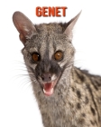 Genet: Amazing Facts about Genet By Devin Haines Cover Image