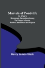 Marvels of Pond-life; Or, A Year's Microscopic Recreations Among the Polyps, Infusoria, Rotifers, Water-bears and Polyzoa By Henry James Slack Cover Image