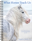 What Horses Teach Us 2023 Engagement Calendar By Willow Creek Press Cover Image