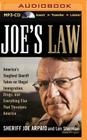Joe's Law: America's Toughest Sheriff Takes on Illegal Immigration, Drugs, and Everything Else That Threatens America Cover Image