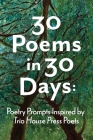 30 Poems in 30 Days: Poetry Prompts Inspired by Trio House Press Poets Cover Image