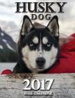 Husky Dog 2017 Wall Calendar Cover Image