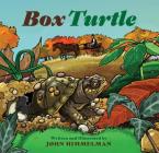 Box Turtle By John Himmelman Cover Image