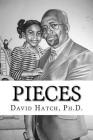 Pieces: The Broken Lives Of Many People By David Hatch Ph. D. Cover Image