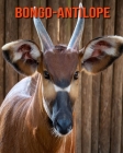 Bongo-Antilope: Schöne Bilder & Kinderbuch mit interessanten Fakten über Bongo-Antilope Cover Image
