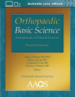 Orthopaedic Basic Science: Foundations of Clinical Practice: Print + Ebook with Multimedia (AAOS - American Academy of Orthopaedic Surgeons) Cover Image