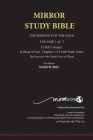 Hardback 11th Edition MIRROR STUDY BIBLE VOL 1 - LUKE's Gospel & Acts in progress Updated December 2023: Hard Cover Dr. Luke's brilliant account of th By Francois Du Toit Cover Image
