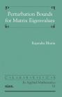 Perturbation Bounds for Matrix Eigenvalues (Classics in Applied Mathematics #53) By R. Bhatia Cover Image
