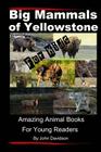 Big Mammals Of Yellowstone For Kids: Amazing Animal Books for Young Readers By John E. Davidson Cover Image