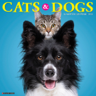 Cats & Dogs 2023 Wall Calendar By Willow Creek Press Cover Image