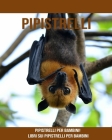Pipistrelli: Pipistrelli per bambini! Libri sui Pipistrelli per bambini Cover Image