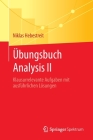 Übungsbuch Analysis II: Klausurrelevante Aufgaben Mit Ausführlichen Lösungen By Niklas Hebestreit Cover Image
