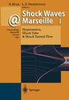 Shock Waves @ Marseille I: Hypersonics, Shock Tube & Shock Tunnel Flow By Raymond Brun (Editor), Lucien Z. Dumitrescu (Editor) Cover Image