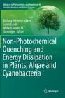 Non-Photochemical Quenching and Energy Dissipation in Plants, Algae and Cyanobacteria (Advances in Photosynthesis and Respiration #40) By Barbara Demmig-Adams (Editor), Gyozo Garab (Editor), William Adams III (Editor) Cover Image