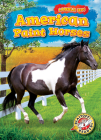 American Paint Horses (Saddle Up!) By Rachel Grack Cover Image