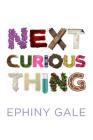 Next Curious Thing Cover Image
