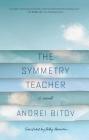 The Symmetry Teacher: A Novel Cover Image