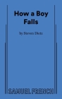 How a Boy Falls Cover Image