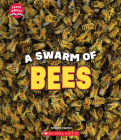A Swarm of Bees (Learn About: Animals) By Claire Caprioli Cover Image