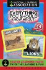 Everything You Should Know About: Jaguars and Lions Cover Image
