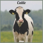 Cattle 2021 Wall Calendar: Official Animal Cows Calendar 2021 By Today Wall Calendrs 2021 Cover Image