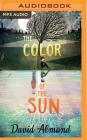 The Color of the Sun By David Almond, Richard Halverson (Read by) Cover Image