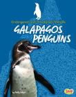 Galapagos Penguins (Endangered and Threatened Animals) Cover Image
