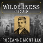 The Wilderness of Ruin Lib/E: A Tale of Madness, Fire, and the Hunt for America's Youngest Serial Killer Cover Image