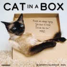 Cat in a Box 2024 12 X 12 Wall Calendar By Willow Creek Press Cover Image