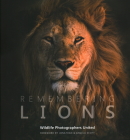 Remembering Lions By Margot Raggett, Jonathan Scott (Foreword by), Angela Scott (Foreword by) Cover Image