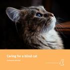 Caring for a blind cat By Natasha Mitchell Cover Image