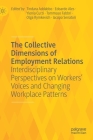 The Collective Dimensions of Employment Relations: Interdisciplinary Perspectives on Workers' Voices and Changing Workplace Patterns By Tindara Addabbo (Editor), Edoardo Ales (Editor), Ylenia Curzi (Editor) Cover Image