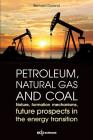 Petroleum, Natural Gas and Coal: Nature, Formation Mechanisms, Future Prospects in the Energy Transition By Bernard Durand Cover Image