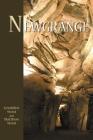 Newgrange By Geraldine Stout Cover Image