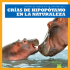 Crнas de Hipopуtamo En La Naturaleza (Hippopotamus Calves in the Wild) By Marie Brandle Cover Image