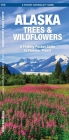 Alaska Trees & Wildflowers: A Folding Pocket Guide to Familiar Plants (Pocket Naturalist Guide) By James Kavanagh, Raymond Leung (Illustrator) Cover Image