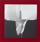 Mapplethorpe Flora: The Complete Flowers By Mark Holborn (Editor), Dimitri Levas (Designed by) Cover Image