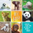 Hey, Baby!: A Collection of Pictures, Poems, and Stories from Nature's Nursery By Stephanie Warren Drimmer Cover Image