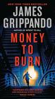 Money to Burn By James Grippando Cover Image