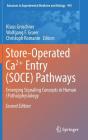 Store-Operated Ca²⁺ Entry (Soce) Pathways: Emerging Signaling Concepts in Human (Patho)Physiology (Advances in Experimental Medicine and Biology #993) By Klaus Groschner (Editor), Wolfgang F. Graier (Editor), Christoph Romanin (Editor) Cover Image