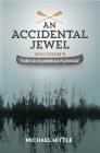 An Accidental Jewel Cover Image