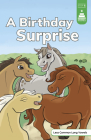 A Birthday Surprise By Sara Schultz (Illustrator), Leanna Koch, Kristen Cowen (With) Cover Image