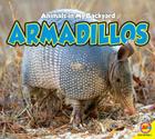 Armadillos (Animals in My Backyard) Cover Image