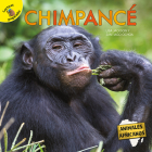 Chimpancé: Chimpanzee By Pablo De La Vega, Lisa Jackson Cover Image