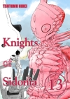 Knights of Sidonia, Volume 13 By Tsutomu Nihei Cover Image