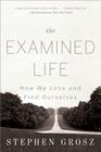 The Examined Life: How We Lose and Find Ourselves By Stephen Grosz Cover Image