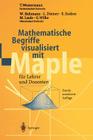 Mathematische Begriffe Visualisiert Mit Maple: Für Lehrer Und Dozenten By T. Westermann, W. Buhmann, L. Diemer Cover Image