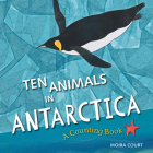Ten Animals in Antarctica: A Counting Book By Moira Court, Moira Court (Illustrator) Cover Image