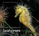 In the Company of Seahorses By Steve Trewhella, Julie Hatcher Cover Image