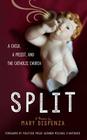 Split: A Child, a Priest, and the Catholic Church By Mary C. Dispenza Cover Image